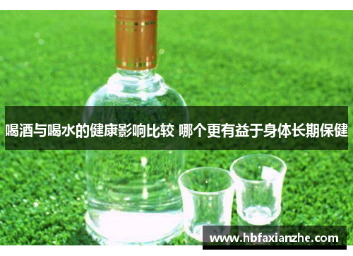 喝酒与喝水的健康影响比较 哪个更有益于身体长期保健