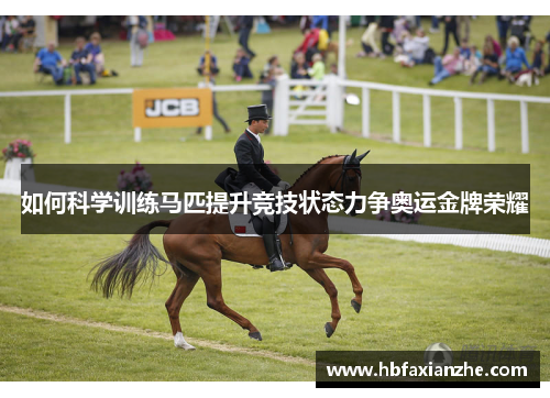 如何科学训练马匹提升竞技状态力争奥运金牌荣耀