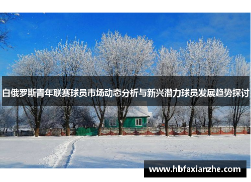 白俄罗斯青年联赛球员市场动态分析与新兴潜力球员发展趋势探讨 白俄罗斯青年联赛球员市场动态分析与新兴潜力球员发展趋势探讨