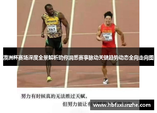 澳洲杯赛场深度全景解析助你洞悉赛事脉动关键趋势动态全向走向图